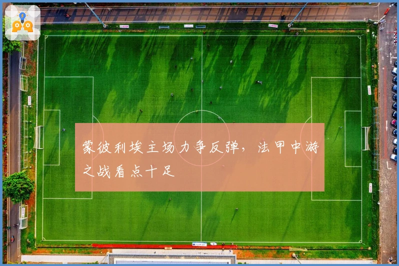 蒙彼利埃主场力争反弹，法甲中游之战看点十足