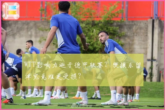 WTT影响力逊于德甲联赛？樊振东留洋究竟谁更受损？